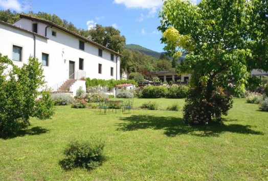 Porzione di villa  AFFITTO  Sesto Fiorentino