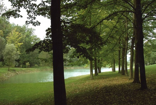 Villa  VENDITA  Firenze