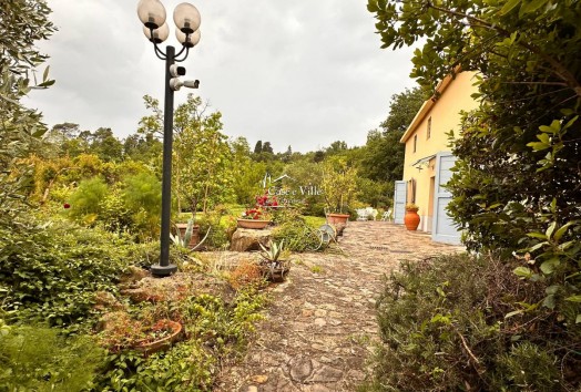 Porzione di colonica  VENDITA  Prato