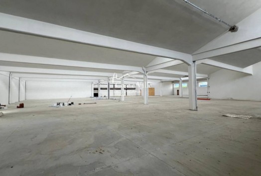 Capannone  AFFITTO  Altopascio