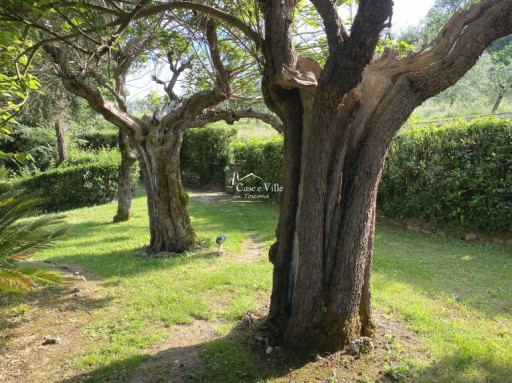 Apartment Pistoia  FOR SALE