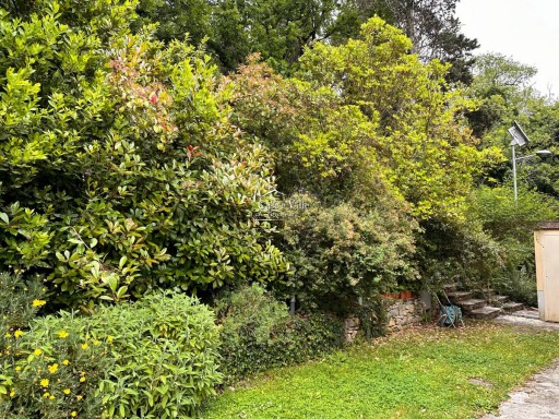 Porzione di colonica Bagnolo  VENDITA